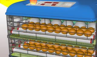 小型智能孵化箱使用说明 小型孵化机